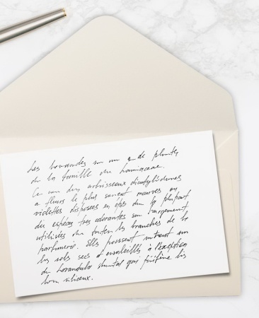 Шариковая ручка Waterman Carene De Luxe, цвет: Black/Silver, стержень: Mblue