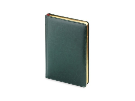 Подарочный набор: Ручка перьевая Parker Jotter Stainless Steel GT и Ежедневник зеленый недатированный
