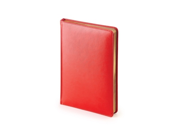 Подарочный набор: Шариковая ручка Parker  Jotter XL SE20 Monochrome в подарочной упаковке, цвет: Black, стержень: Mblue и Ежедневник красный недатиров