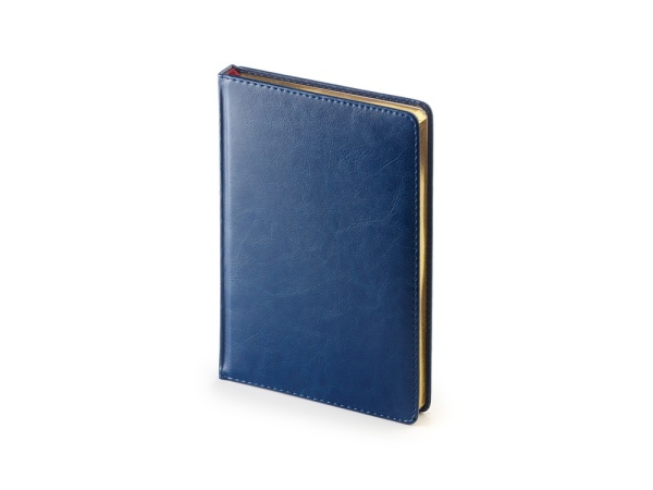 Подарочный набор: Шариковая ручка Parker  Jotter XL SE20 Monochrome в подарочной упаковке, цвет: Black, стержень: Mblue и Ежедневник синий недатирован