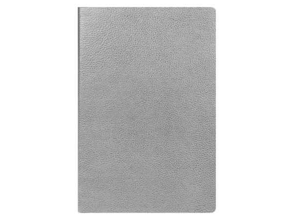 Подарочный набор: Шариковая ручка Parker Jotter Essential, St. Steel GT и Ежедневник недатированный серебристый