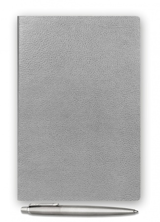 Подарочный набор: Шариковая ручка Parker Jotter Essential, St. Steel СT и Ежедневник недатированный серебристый