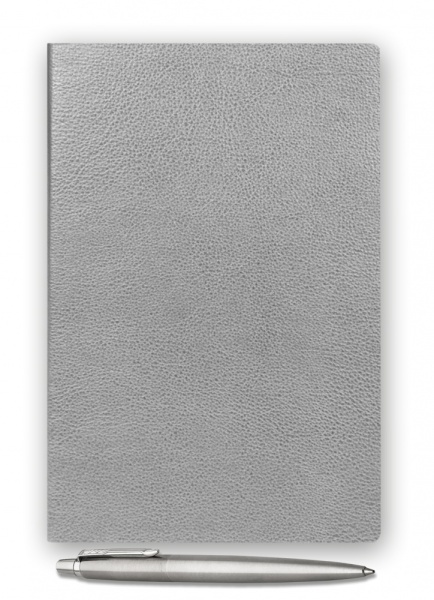 Подарочный набор: Шариковая ручка Parker Jotter Essential, St. Steel СT и Ежедневник недатированный серебристый